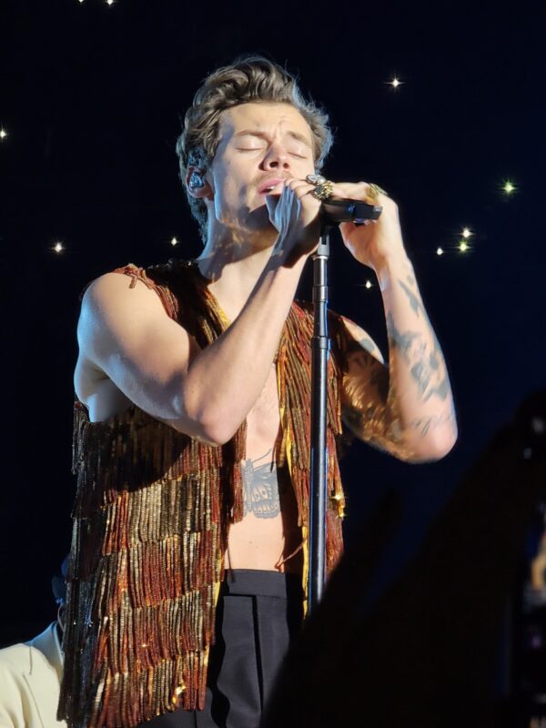 Harry Styles UBS Arena Concert Vest