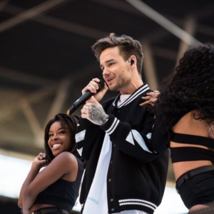 Liam Payne Strips That Down Jacket